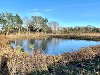 000 County Road 167, Alvin, TX 77511 - photo 5