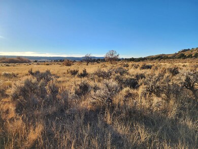 0 Banco Rd, La Jara, NM 87027 - photo 7