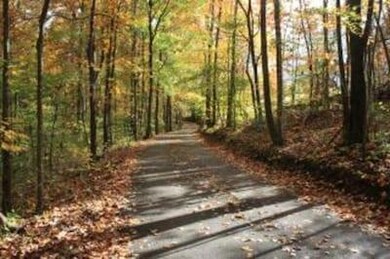 239 Enchanted Forest Way, Burnside, KY 42519 - photo 5