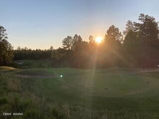 3680 Sage Ln, Show Low, AZ 85901 - photo 2