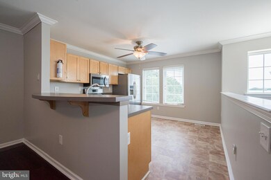 3021 Stoddard Place, Wilmington, DE 19802 - photo 7