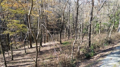 16 Lake View, Smithville, TN 37166 - photo 7