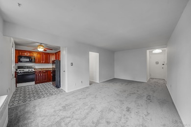 Thornton Place Owners unit 4U, Forest Hills, NY 11375 - photo 6