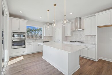 Elm Park 59_Kitchen_2.3.25_webready
