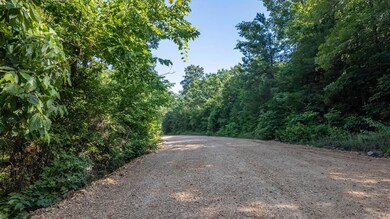 Tbd Browns Creek Rd, Ravenden, AR 72459 - photo 7