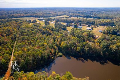 Aeronca Rd, Pelzer, SC 29669 - photo 6