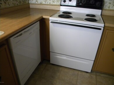 Electric Stove & Dishwasher
