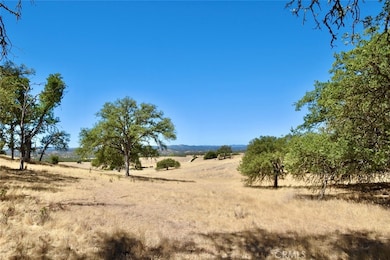 54421 Bradley Lockwood Rd, Bradley, CA 93426 - photo 7