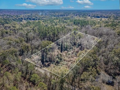 TBD Donaldson-Williams Rd, Crawfordville, FL 32327 - photo 3