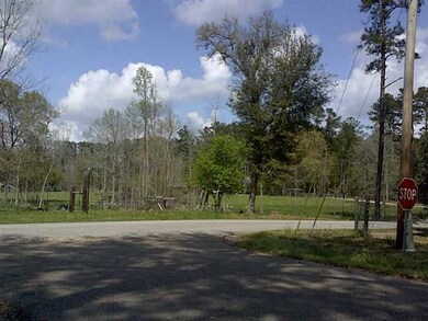 Photo.