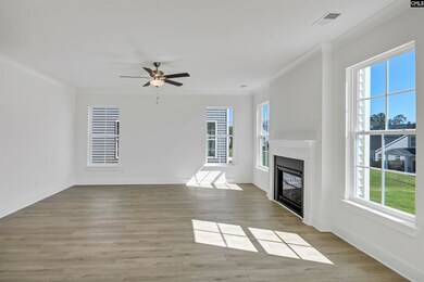 620 Thunder Gulch Ave, Lexington, SC 29073 - photo 7