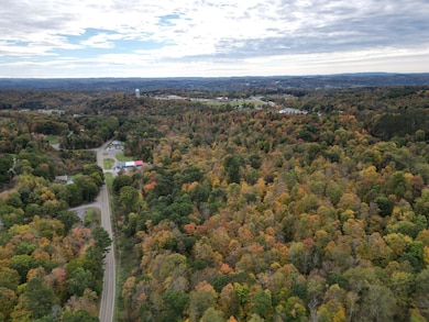 00 Walston Rd, Walston, PA 15781 - photo 3