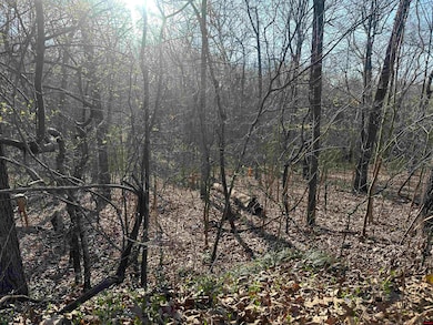 268-00601-000 Altakima Cir, Cherokee Village, AR 72529 - photo 4