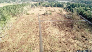 0 Gooseneck (Parcel #289476) Rd, Sheridan, OR 97378 - photo 2