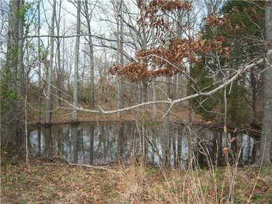 Bullfrog corner. Can you say ribbit?