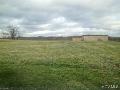 Back yard / Pasture