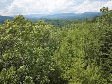 102 Canvas Back Ct, Whittier, NC 28789 - photo 4