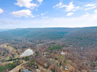 41 ac Kroff Rd, Gurley, AL 35748 - photo 6