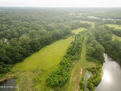 403 Mount Pleasant - Zachary Rd, Zachary, LA 70791 - photo 5