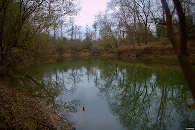 TBD Cherry St, Tull, AR 72015 - photo 4