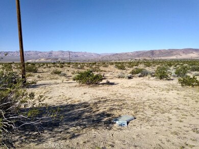 4032 Pearl Springs Ave, Twentynine Palms, CA 92277 - photo 2