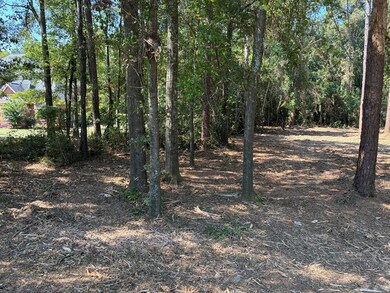 Lot 3 Hampton Way, Dothan, AL 36305 - photo 3