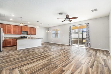 10919 Rainbow Pyrite Dr, Wimauma, FL 33598 - photo 7