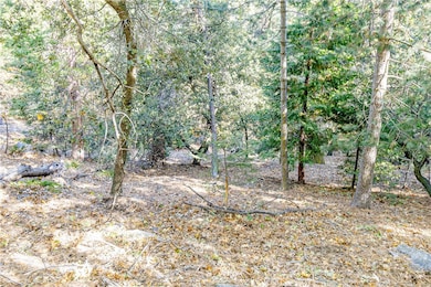 0 Alder Creek Rd unit SW24232393, Crestline, CA 92322 - photo 3