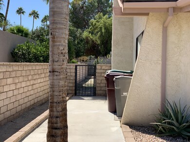 Side yard 1