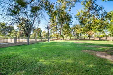 Park-like Backyard