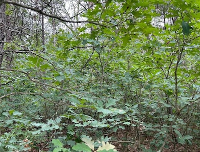 pic 3