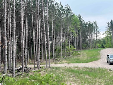 TBD Theron Rd unit B, Traverse City, MI 49685 - photo 4