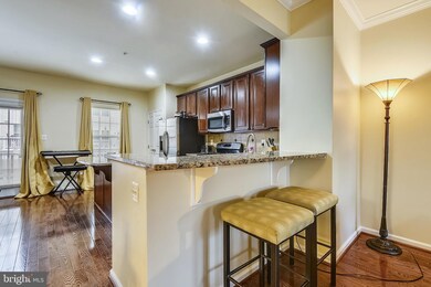 7209 Dorchester Woods Ln, Hanover, MD 21076 - photo 6