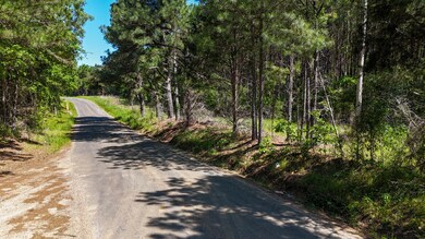 242 Dan George Rd, Mendenhall, MS 39114 - photo 5