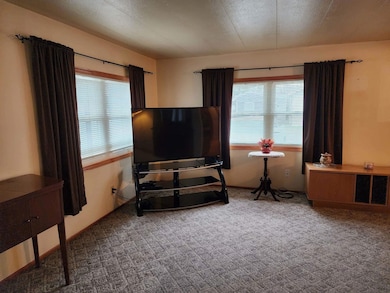 600 Ripley St, Harpers Ferry, IA 52146 - photo 4