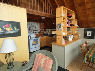 14 Little Bear Island, Tuftonboro, NH 03816 - photo 5