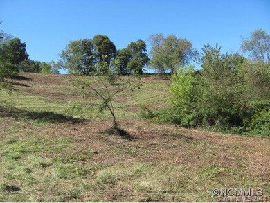 000 Dix Creek Chapel Rd, Asheville, NC 28806 - photo 4