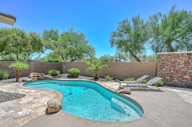 Pool-Backyard