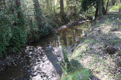Creek