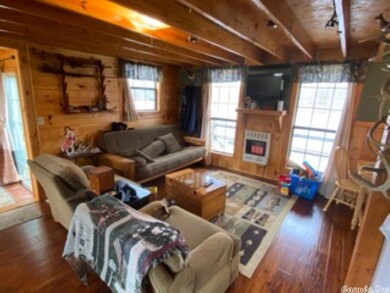 525 Pleasant Run Rd 59 3 Acres + -, Mammoth Springs, AR 72542 - photo 5