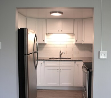 329 W Kimbell Ave unit 11, Elmhurst, IL 60126 - photo 3