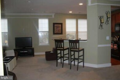 23620 Overlook Park Dr unit 101, Clarksburg, MD 20871 - photo 3