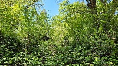 0 Lincoln Aly, Placerville, CA 95667 - photo 5