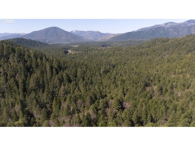 0 Davis Creek Rd, Selma, OR 97538 - photo 6