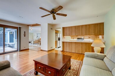 4 Hampton on Auburn, Rolling Meadows, IL 60008 - photo 6