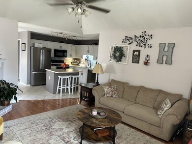 Living room featuring sink, ceiling fan, light til