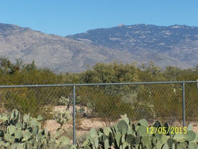 13501 E Crazy Horse Trail, Vail, AZ 85641 - photo 4