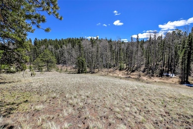 112 Blue Jay Ln, Florissant, CO 80816 - photo 5