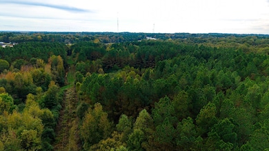 00 Hwy 12 W, Kosciusko, MS 39090 - photo 5