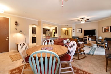 955 E Knox Rd unit 102, Chandler, AZ 85225 - photo 4